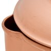 Ramsons Copper Premium Jug 2L No.6