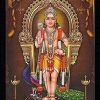 Lord Satyanarayana Swamy Vishnu Avatar Gold Synthetic Photo Frame