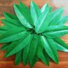 Plastic Re-usable Artificial Mango Leaves (Aam Patta) for Decorations
