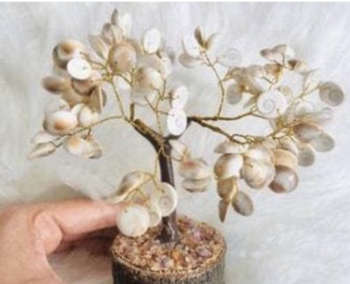 Gomti Chakra tree home decor