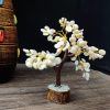 Gomti Chakra tree home decor