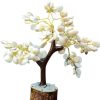 Gomti Chakra tree home decor