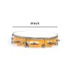 Classical Indian Music Instrument