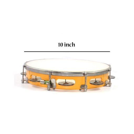 Classical Indian Music Instrument