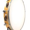 Classical Indian Music Instrument