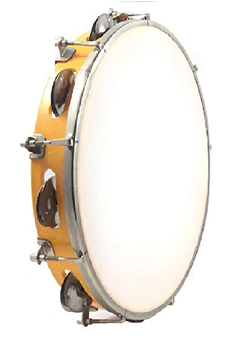 Classical Indian Music Instrument