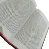 Malayalam- O.V. Holy Bible (Red Edges) New Font Containing Old And New Testament MALAYALAM- O.V. HOLY BIBLE (RED EDGES) New Font CONTAINING OLD AND NEW TESTAMENT