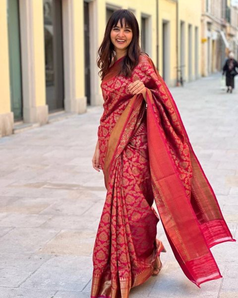 Red Banarasi Soft Silk Saree