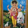 Lord Swamy Vishnu Avatar Gold Synthetic Photo A4 size