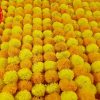 Artificial yellow and light orange Marigold Flowers Garland For Decoration