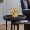 Modern Classy Lucky Owl Resin Art Figure Showpiece (Golden), 1 Piece Modern Classy Lucky Owl Resin Art Figure Showpiece (Golden), 1 Piece
