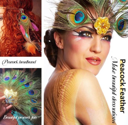 Real Natural Peacock Peacock Feather Original Feathers 10-12 inch for DIY Craft Floral Arrangements,Wedding,Home and Party Decorations Feathers (Pack of 1 Pcs)