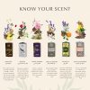 Mixed Attar Oil Set by Dukhni | Arab perfume oils for men and women | 6 assorted scents x 6ml | Arabian oud oil fragrances | Sampler Gift set