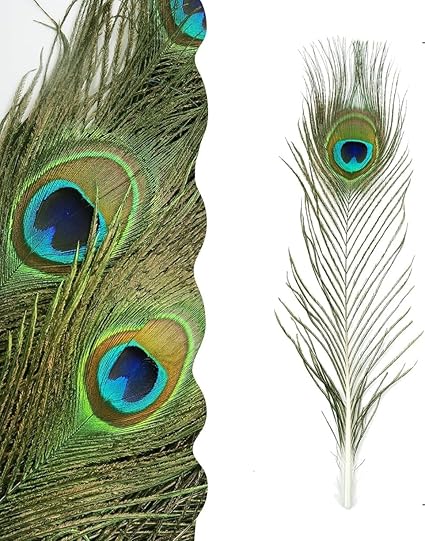 Real Natural Peacock Peacock Feather Original Feathers 10-12 inch for DIY Craft Floral Arrangements,Wedding,Home and Party Decorations Feathers (Pack of 1 Pcs)