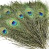 Real Natural Peacock Peacock Feather Original Feathers 10-12 inch for DIY Craft Floral Arrangements,Wedding,Home and Party Decorations Feathers (Pack of 1 Pcs)