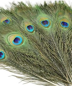 Real Natural Peacock Peacock Feather Original Feathers 10-12 inch for DIY Craft Floral Arrangements,Wedding,Home and Party Decorations Feathers (Pack of 1 Pcs)