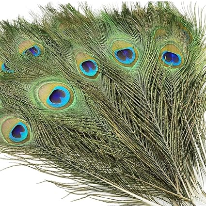 Real Natural Peacock Peacock Feather Original Feathers 10-12 inch for DIY Craft Floral Arrangements,Wedding,Home and Party Decorations Feathers (Pack of 1 Pcs)