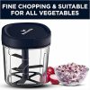 Pigeon New Handy Food Chopper, Onion Chopper With 3 Blades, Green