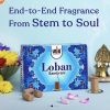 Cycle Logan Cup Sambrani (Dhoop /Loban / Guggal) For Daily Puja. Cycle Loban Cup Sambrani for daily Puja